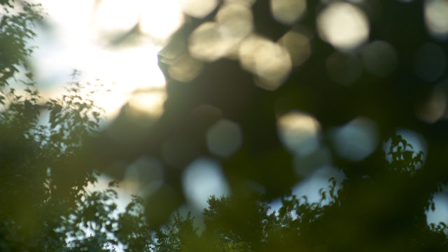 Seyos agit pour l'environnement