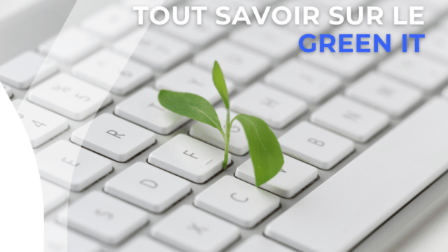 reen-it-cabinet-de-recrutement-seyos